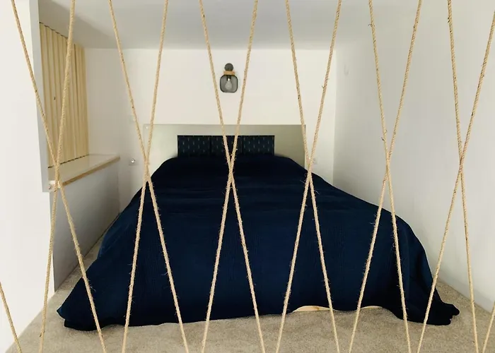 1900 Vetus 클루지나포카